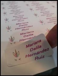 MonRod Sistemas / Galeria de Etiquetas 10 / Etiquetas para Identificacion de Ropa / Etiquetas para planchar / Iron Labels / Name Labels / ID Labels / Etiquetas con Nombres / Etiquetas termoadhesivas / Etiquetas para marcar ropa / etiquetas termosoldables / Tijuana