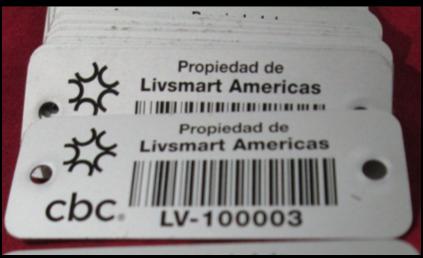 MonRod Sistemas / Galeria de Etiquetas 8 / Etiquetas Para Activos Fijos / Etiquetas Prolipropileno / Etiquetas Polyester / Etiquetas Polycarbonato / Etiquetas Laminadas / Etiquetas de Aluminio / Etiquetas para identificar Activos Fijos / Identificacion de Activos / Identificacion de Activos Fijos / Tijuana / Placas para Activos Fijos / Activo Fijo / Etiquetas y Placas para Activo Fijo / Etiquetas para marcar Activos Fijos / Control de Activos Fijos / Etiquetado y Plaqueo para Activos Fijos / Etiquetas de Activos Fijos / Impresion de Etiquetas para Activos Fijos
